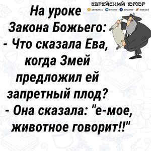 Хорошая подборка анекдотов