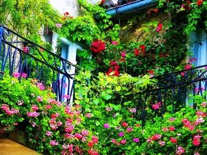Вертикальное озеленение балкона: 20 идей и 10 советов