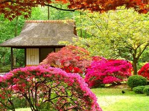 Как обустроить японский сад: советы ландшафтного дизайнера