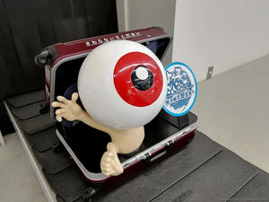 В аэропорту Йонаго из чемодана вылезает глаз