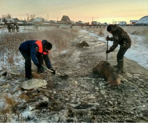 В Якутии спасли вмерзших в лед лошадь и жеребенка