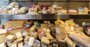 Чем заменить дорогой сыр: удачные варианты замены и рецепты самостоятельного приготовления