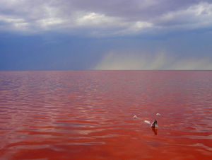 Озеро Эльтон, Волгоградская область — и Мёртвое море нам не нужно!