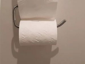 В Австралии в туалет даже просто так не сходишь