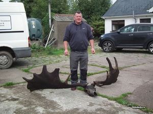 Рыбак из Северной Ирландии выловил череп большерогого оленя