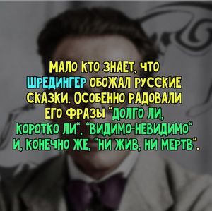 51 забавное высказывание для воскресного дня