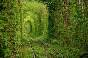 Самые красивые тоннели в мире