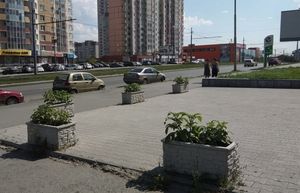 В Екатеринбурге высадили необычные клумбы