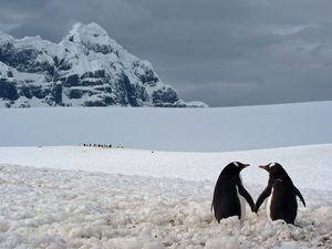 Лучшие фотографии со всего мира от National Geographic