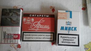 Беларусь обеспечивает треть рынка нелегальных сигарет в РФ