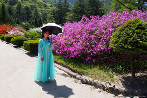 Чхима Чогори - корейское национальное платье