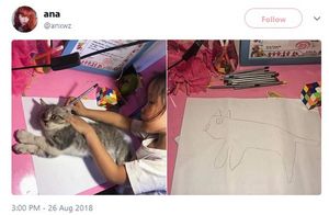 Девочка хотела нарисовать кошку, а получился новый мем