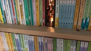 Японский художник создаёт книги, которые, чтобы оценить, необходимо рассмотреть поближе