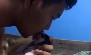 Хозяин хаски смог оживить одного из её новорожденных щенков