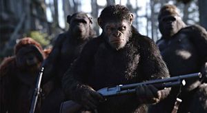 Обезьяний геноцид: чем мы отличаемся от шимпанзе? (6 фото)