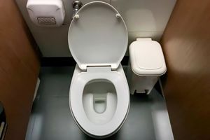 Почему в американских туалетах нет привычных ершиков для чистки?