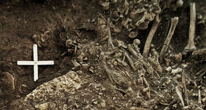 В 5000-летней могиле нашли следы самого раннего и неизвестного штамма чумы
