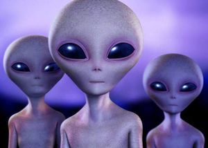 Доцент журфака МГУ: «В этом году мы набрали инопланетян»