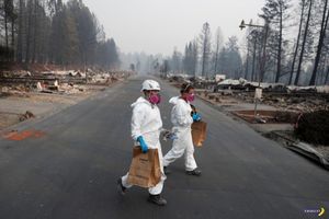 Сгоревшая Калифорния – последствия пожара