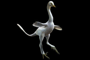 10 самых необычных динозавров древнего мира