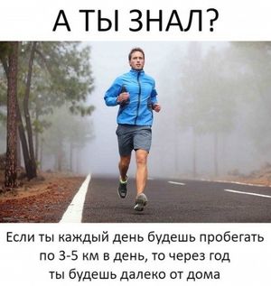 Новые прикольные комментарии