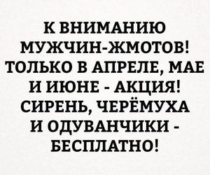 Новая подборка из 15 коротких смешных и жизненных историй, фраз и приколов с просторов интернета