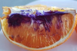 Фиолетовые пятна на апельсине — экспертиза всё прояснила