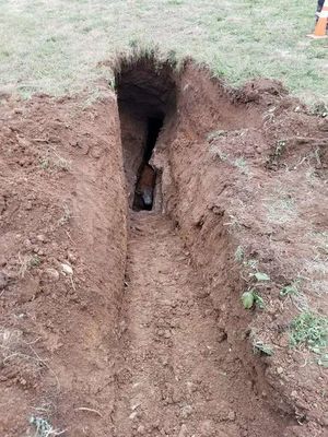Корова провалилась в яму глубиной 6 метров! Ее пытался спасти отважный парень, но не смог сделать этого в одиночку…