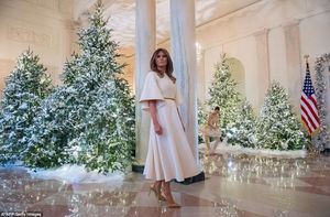 Перехвалили в прошлом году: первая леди США украсила Белый дом к Рождеству — результат ошарашил американцев