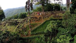 В  Индонезии обнаружена древняя пирамида, покрытая лесом