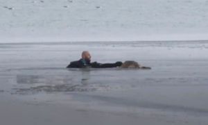 «В ледяной ловушке»: собака замерзала в холодной воде, теряя силы и надежду на спасение…