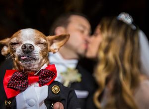 Тот случай, когда не зря заплатили фотографу: самые эмоциональные свадебные фото