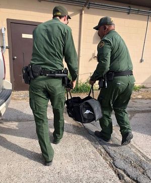 Американских пограничников ждал сюрприз в брошенной сумке