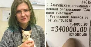 Люди, которые поразили нас в 2018 году