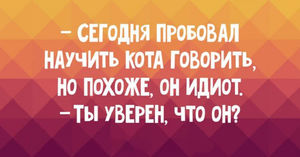 Пятнадцать бодрящих анекдотов