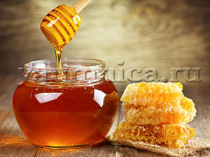Как выбрать натуральный мед и избежать его подделки