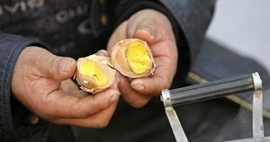 Китайцы научились подделывать куриные яйца: рецепт внутри