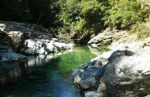 В Новой Зеландии продается участок золотоносной реки всего за $75 000