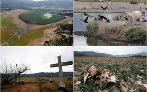 Впервые за 2000 лет высохла Лагуна де Акулео в Чили