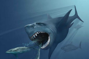 Мегалодон: древняя акула невероятных размеров