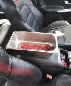 Австралия: мужчина оставил кусок мяса на несколько часов в салоне авто