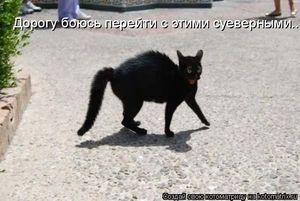 Мысли в слух
