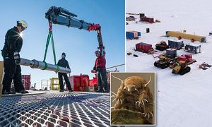 Американцы нашли останки живых существ в замкнутом антарктическом озере