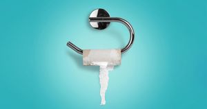 10 вещей, которые использовались до появления туалетной бумаги