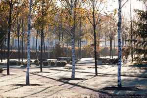 Millennium Park