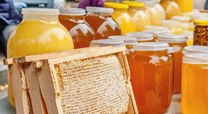 Мёд не так полезен, как мы всегда думали