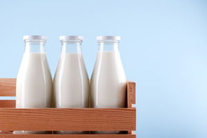 Молоко пить обязательно? Канадский гид по здоровому питанию говорит, что нет