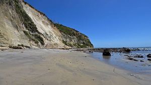 В Новой Зеландии на пляже нашли множество костей взрослых и детей