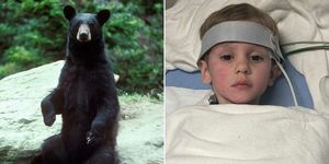 Трехлетний мальчик потерялся в лесу, но выжил. Говорит, что ему помогал медведь!