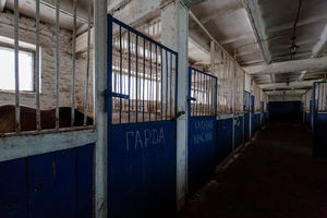 Уфимский конный завод №119